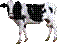043.png